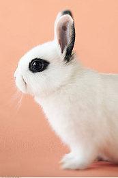 像素风ARPG《Undungeon》Xbox和PC版11月发售